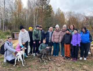 Ученики «Экошколы» из Перми собрали для бездомных животных более 300 килограммов корма